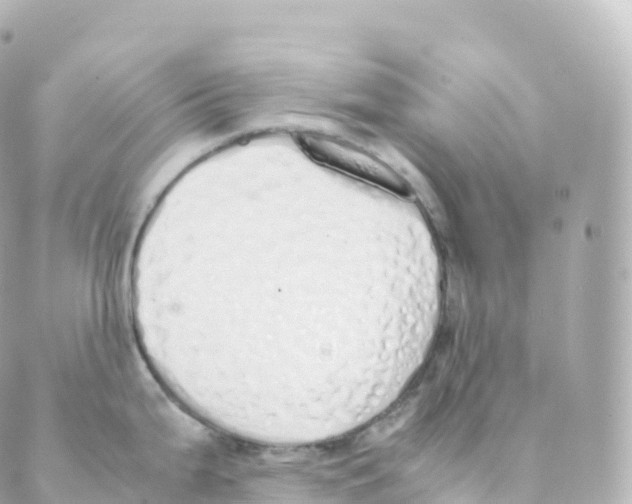 X0000088641199200706221538