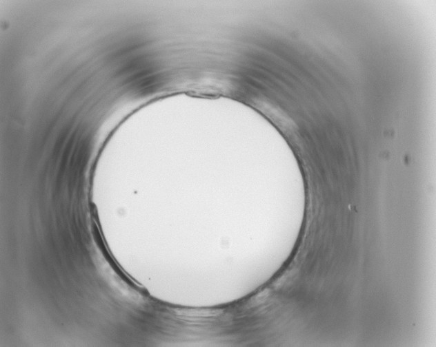 X0000088641200200706221538