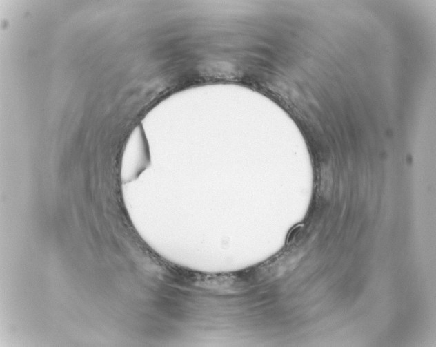 X0000088641201200706221537