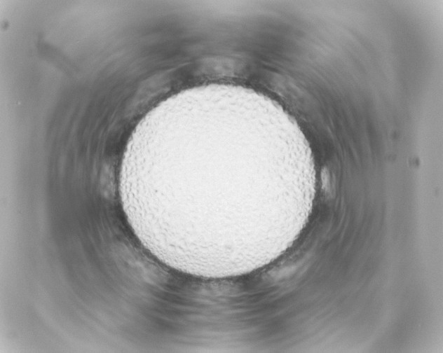 X0000088641203200706221537