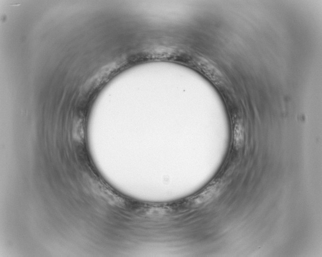 X0000088641204200706221537