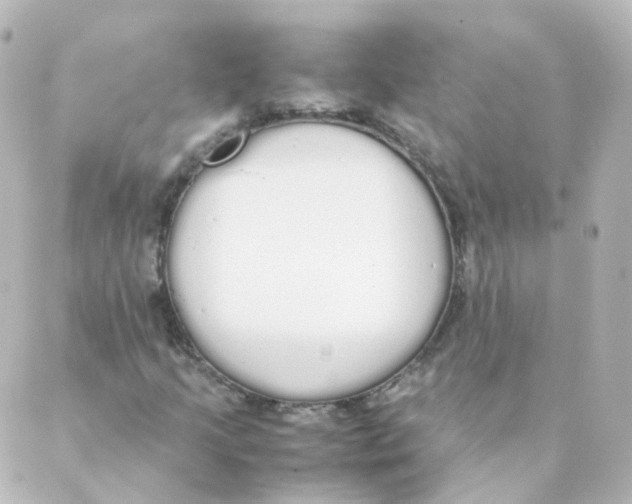 X0000088641205200706221537