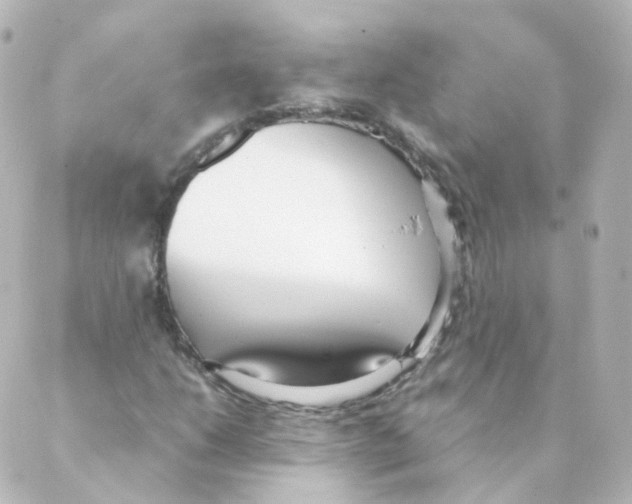 X0000088641206200706221537