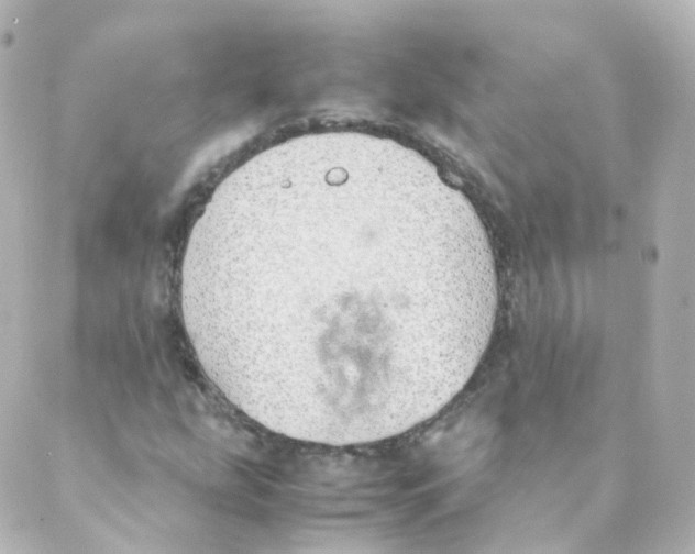 X0000088641207200706221537