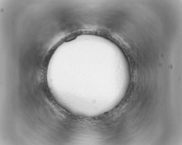 X0000088641208200706221537