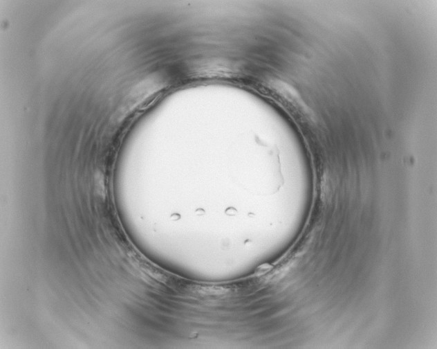 X0000088641209200706221537