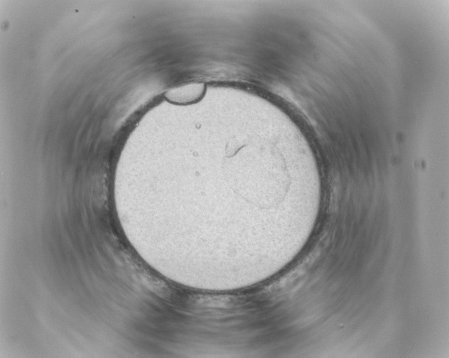 X0000088641211200706221537