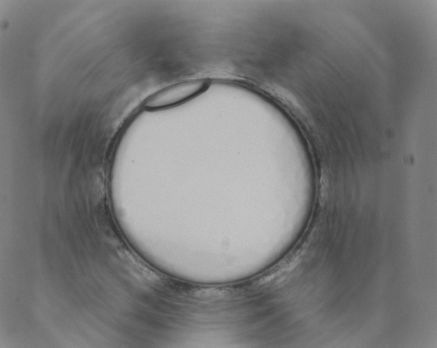 X0000088641212200706221537