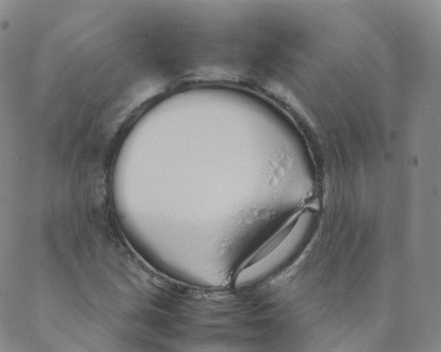 X0000088641213200706221537