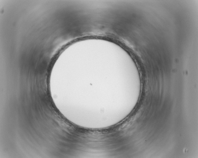 X0000088641214200706221537