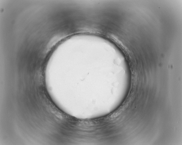 X0000088641215200706221537