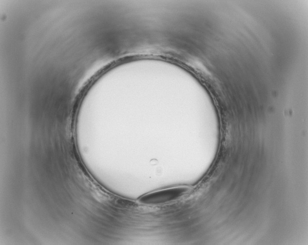 X0000088641216200706221537