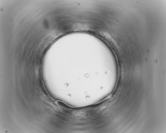 X0000088641217200706221537