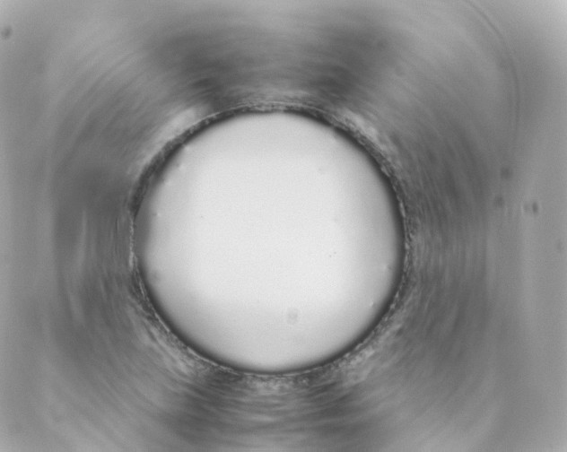 X0000088641219200706221537