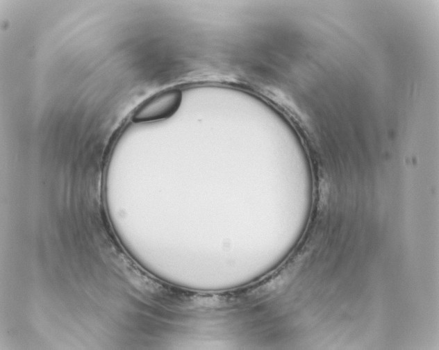 X0000088641220200706221537