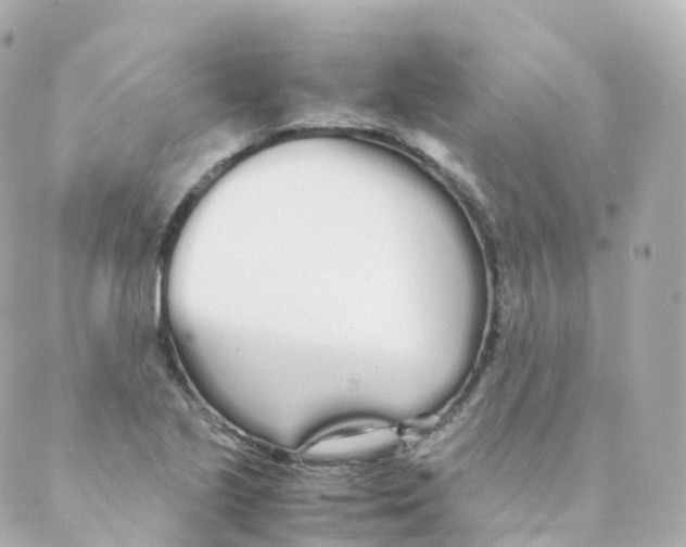 X0000088641221200706221537