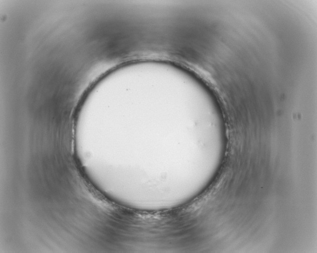 X0000088641223200706221537