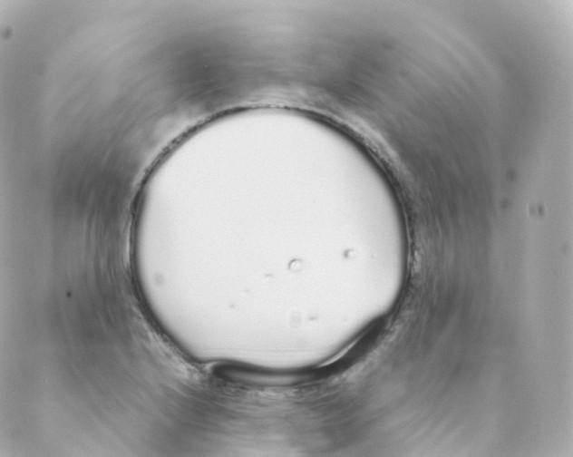 X0000088641224200706221537