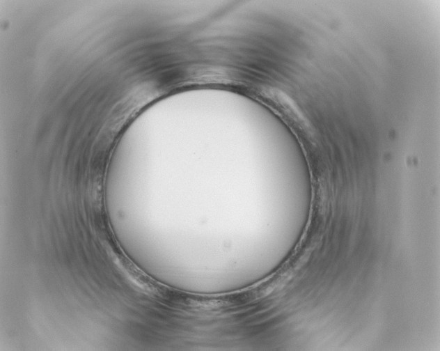 X0000088641225200706221537