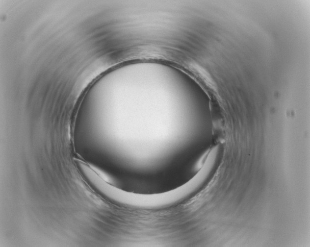 X0000088641226200706221537