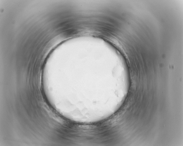 X0000088641227200706221537