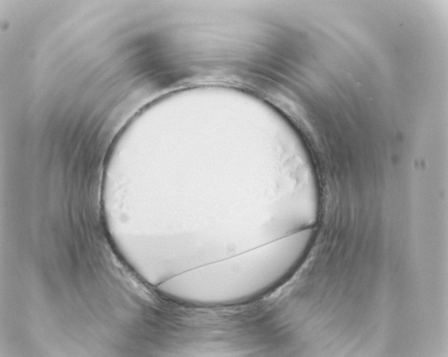 X0000088641228200706221537