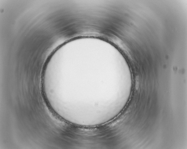 X0000088641229200706221537