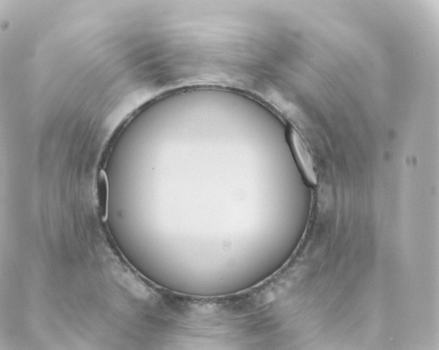 X0000088641230200706221537