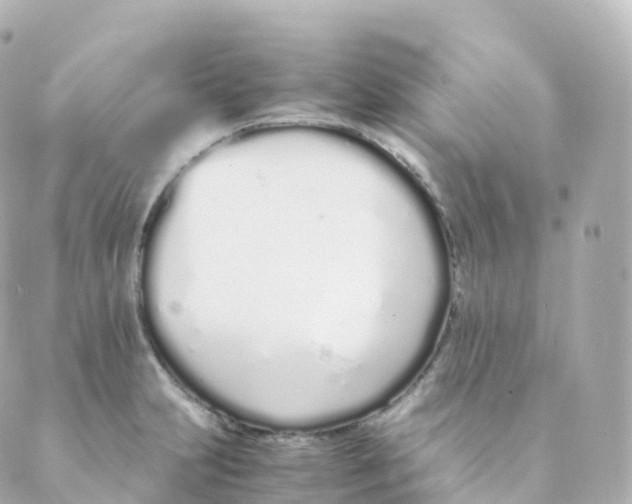 X0000088641231200706221537