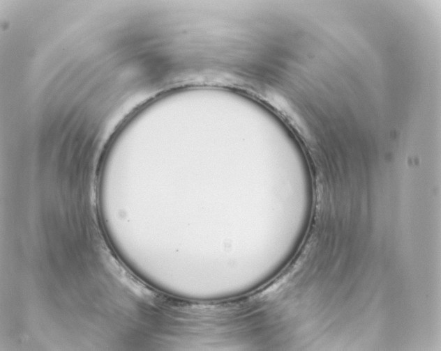 X0000088641232200706221537