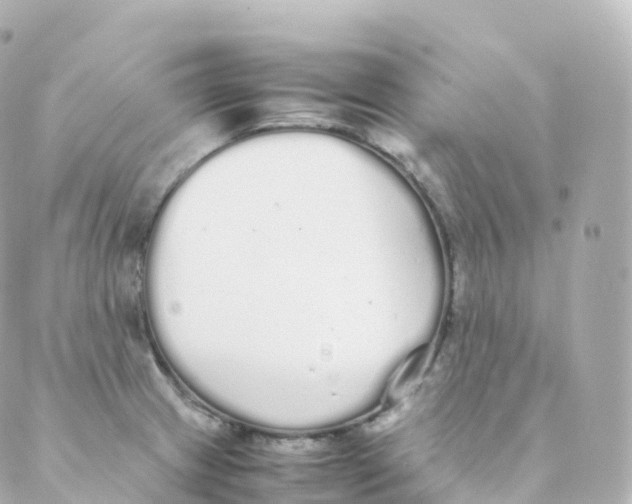 X0000088641233200706221537