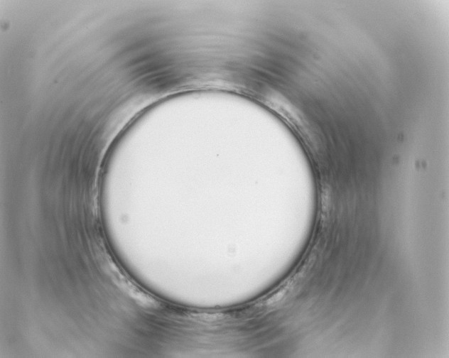 X0000088641236200706221538