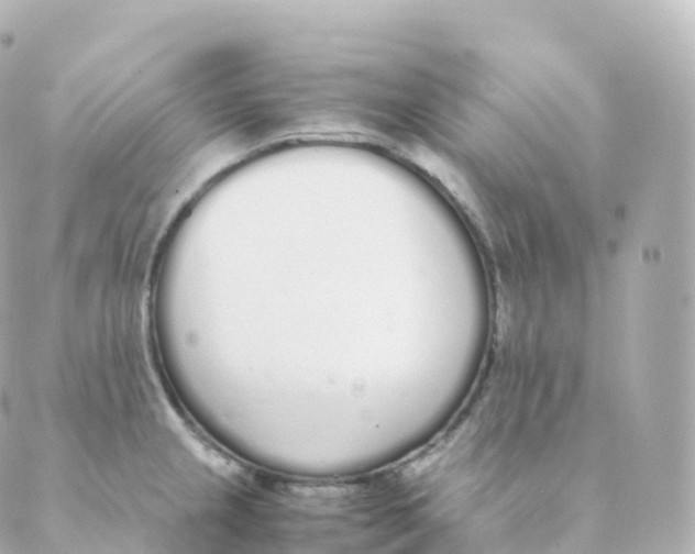 X0000088641237200706221538