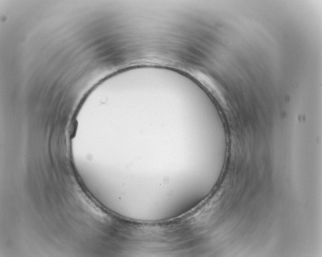 X0000088641238200706221538