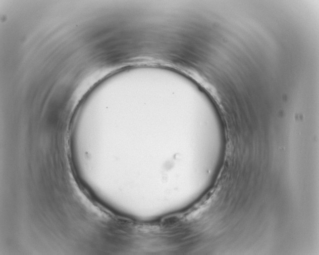 X0000088641239200706221538