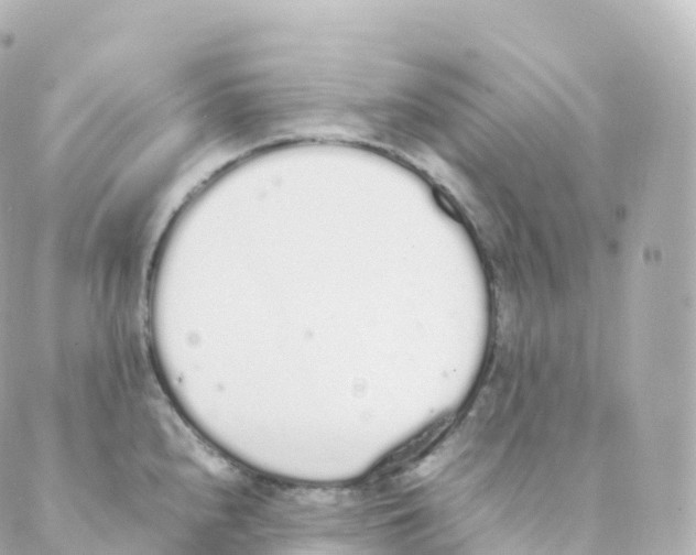 X0000088641240200706221538