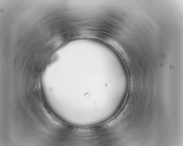 X0000088641241200706221538