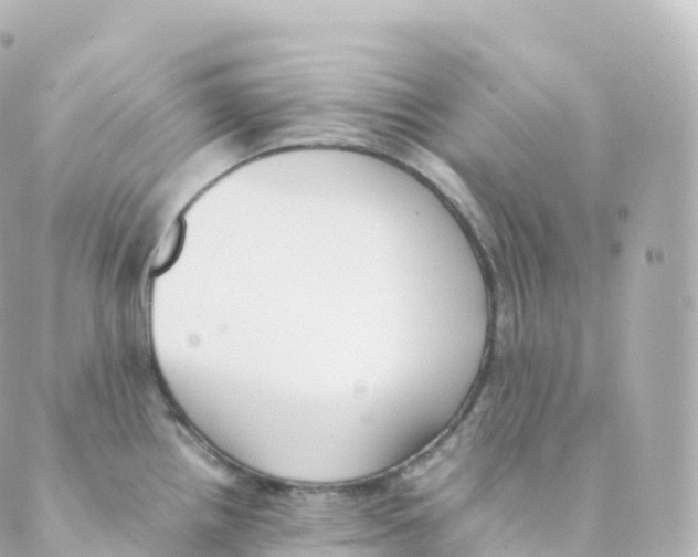 X0000088641242200706221538