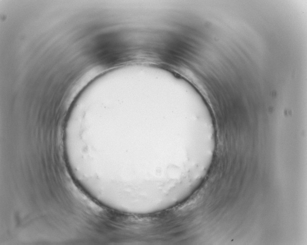 X0000088641243200706221538