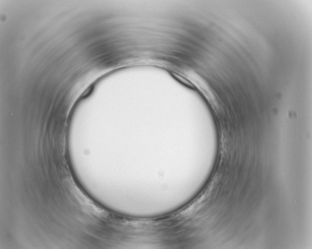 X0000088641244200706221538