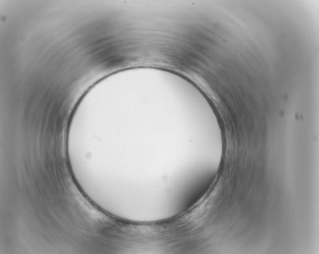 X0000088641246200706221538