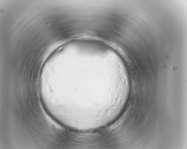 X0000088641247200706221538