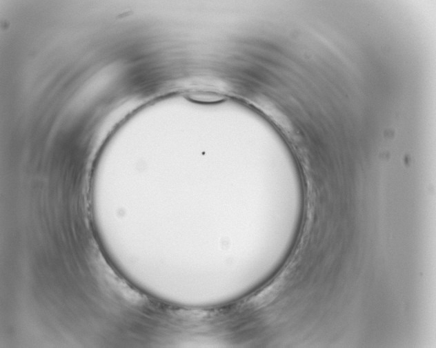 X0000088641248200706221538