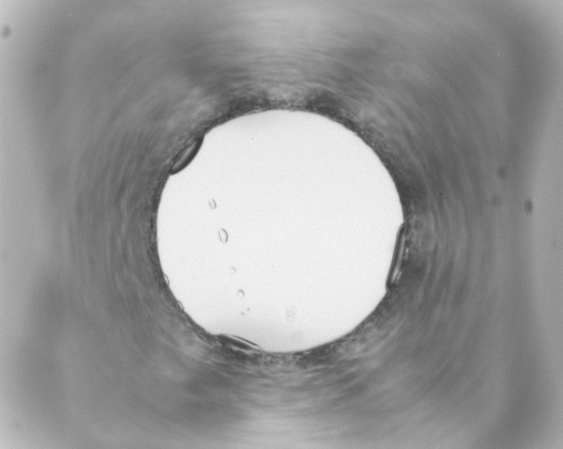 X0000088641249200706221537