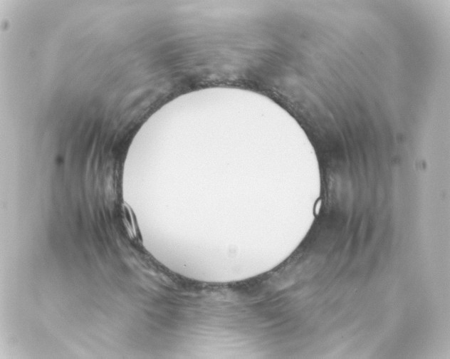 X0000088641250200706221537