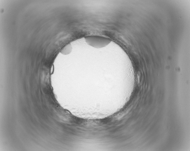 X0000088641251200706221537