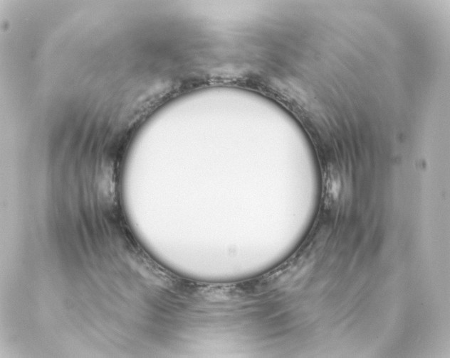 X0000088641252200706221537