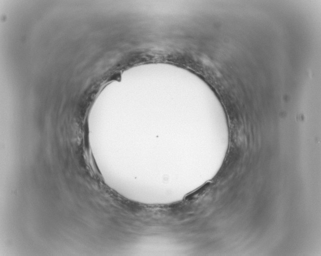 X0000088641253200706221537