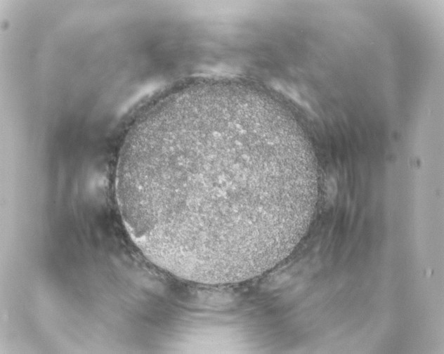 X0000088641254200706221537