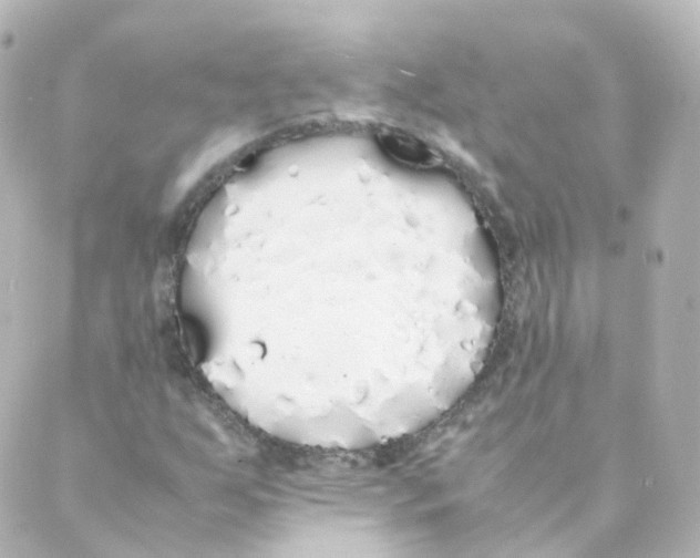 X0000088641255200706221537